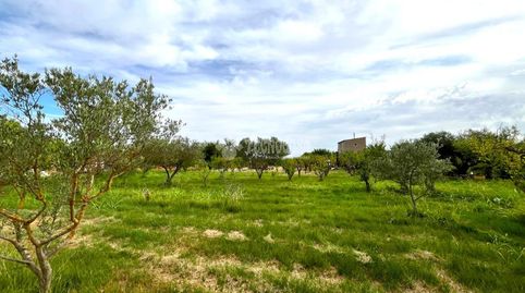 Foto 5 de Casa o chalet en venta en Urbanización las Mejanas, Pastriz, Zaragoza