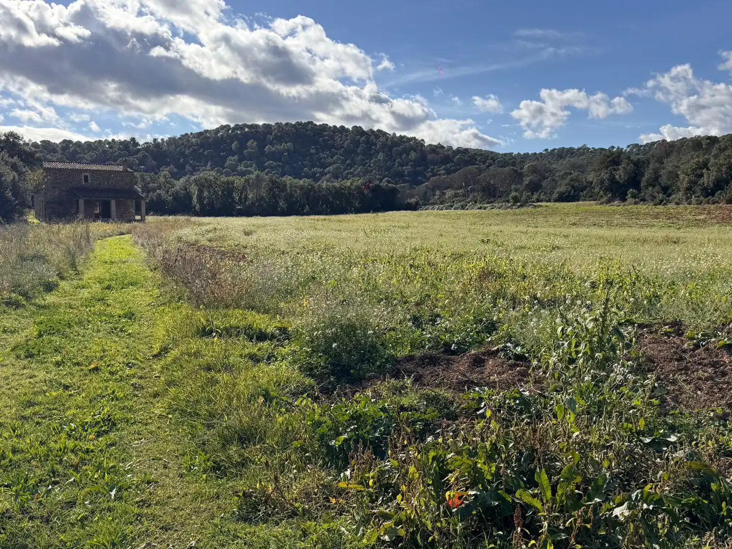 Casa o xalet en venda en Cruïlles, Monells I Sant Sadurní de L'Heura amb Jardí privat, Terrassa i Traster