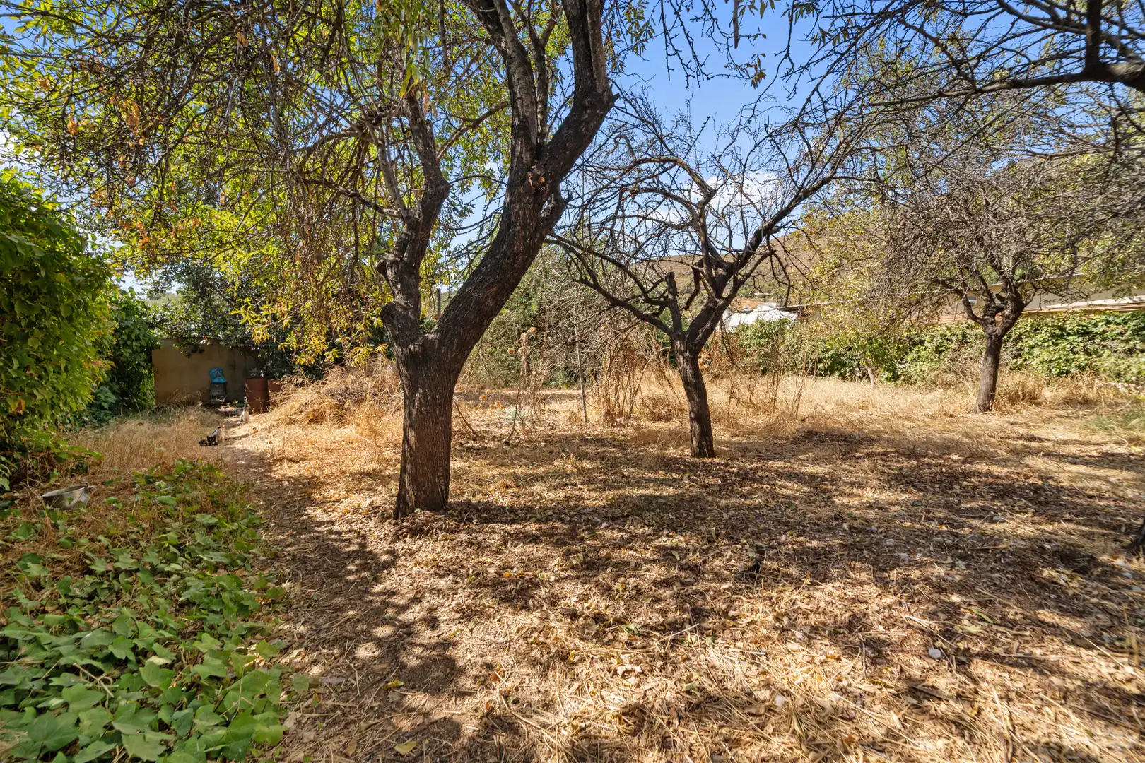 Finca rústica en venda en Mijas amb Jardí privat i Piscina