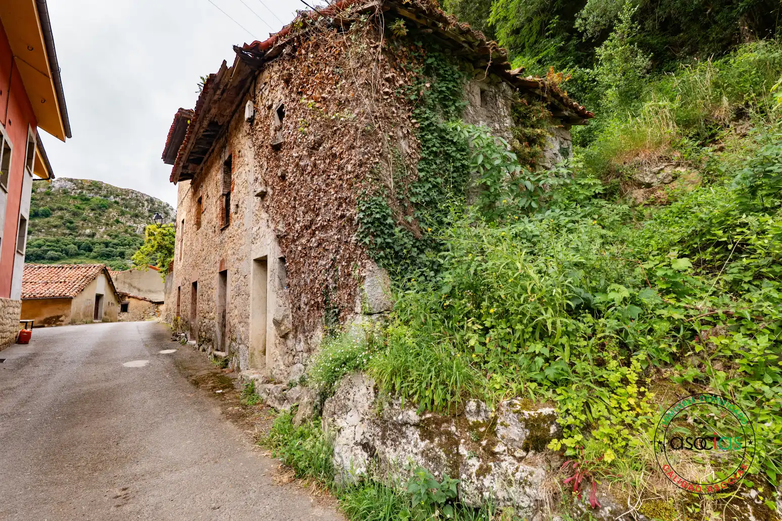 Vista exterior de Casa o xalet en venda en Cabrales amb Jardí privat, Terrassa i Traster