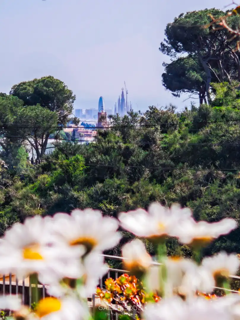 Jardín de Casa o chalet en venta en Barcelona con Calefacción, Jardín privado y Terraza