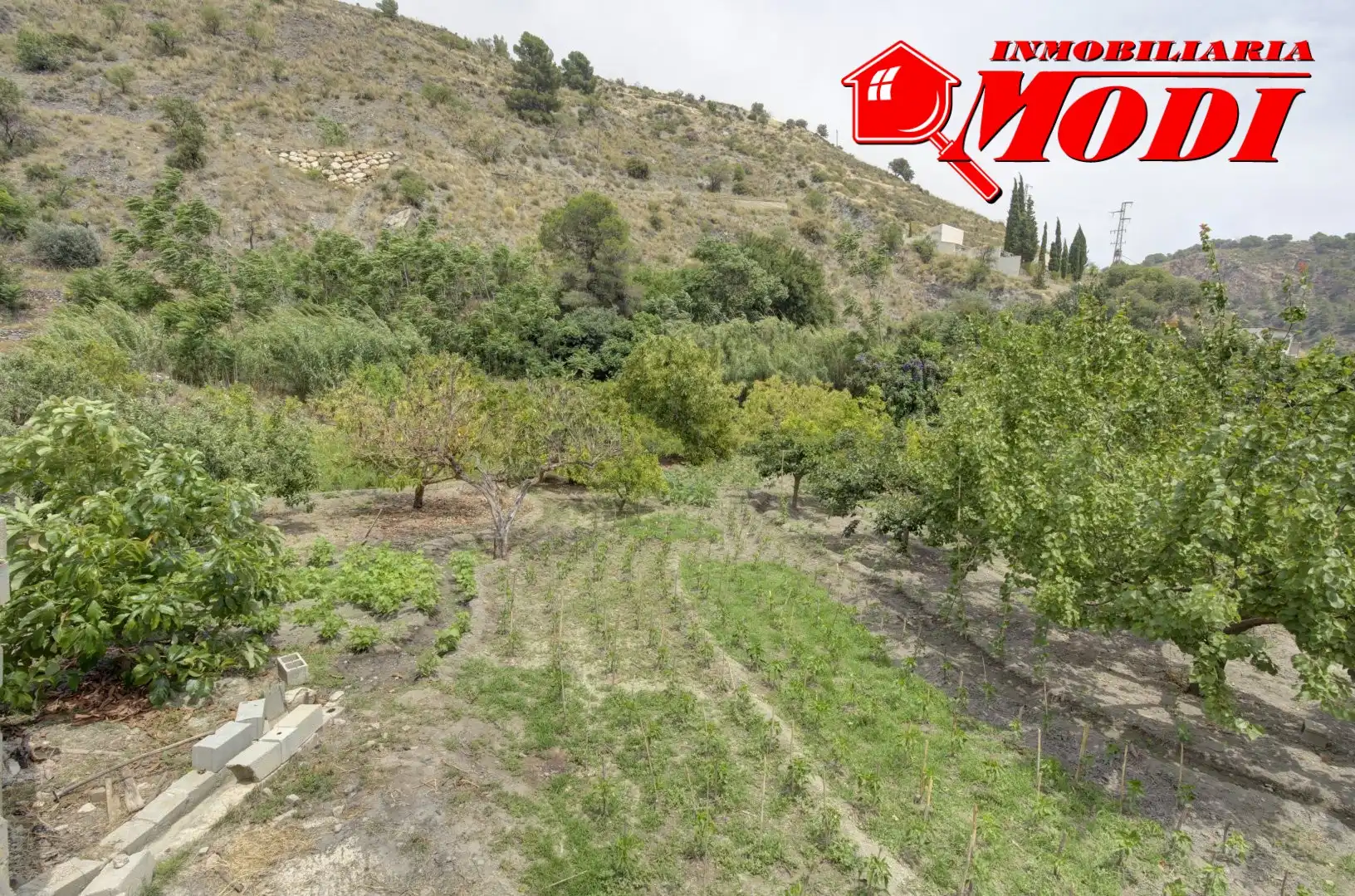 Terreni e lotti in vendita a El Pinar, imagen 5