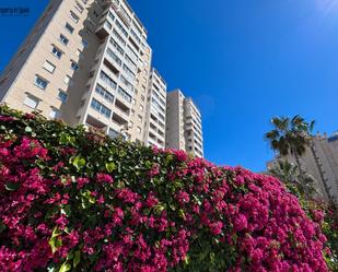 Vista exterior de Apartament en venda en El Campello amb Aire condicionat, Calefacció i Jardí privat