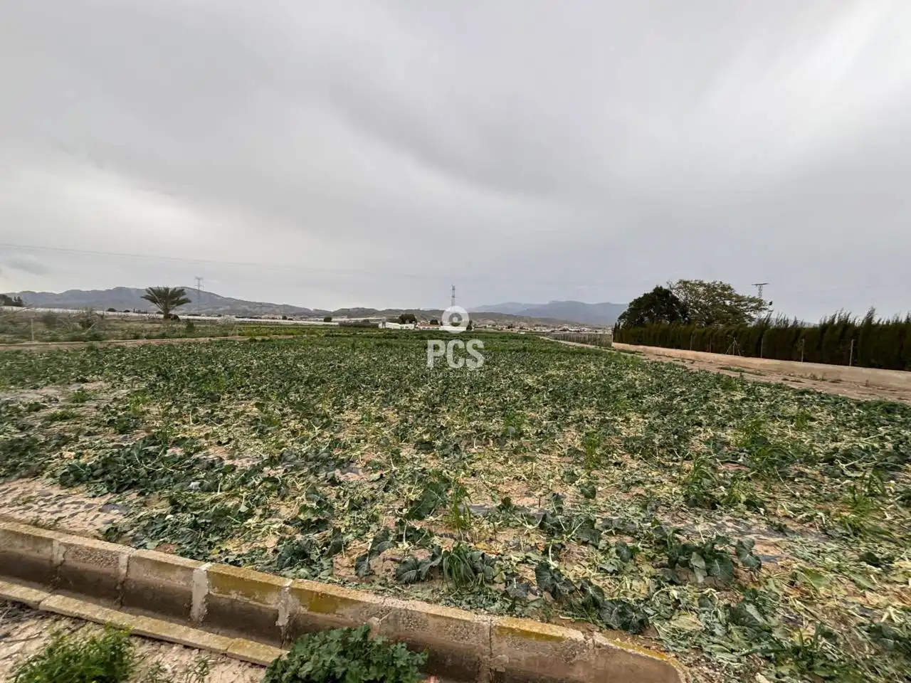 Detached house for sale in Calle Zona La Barquilla S/N, imagen 15