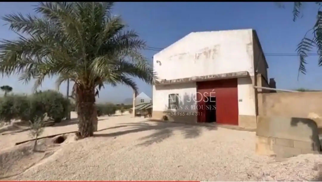 Vista exterior de Casa o xalet en venda en Crevillent amb Aire condicionat, Calefacció i Terrassa
