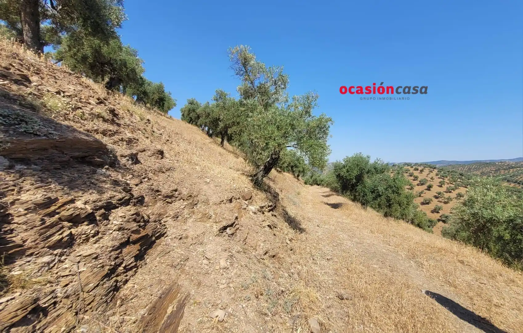 Finca rústica en venda en Pozoblanco amb Traster