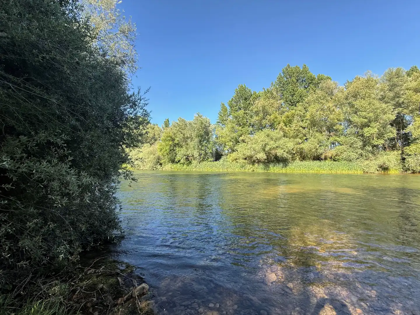 Finca rústica en venta en Ardón con Terraza