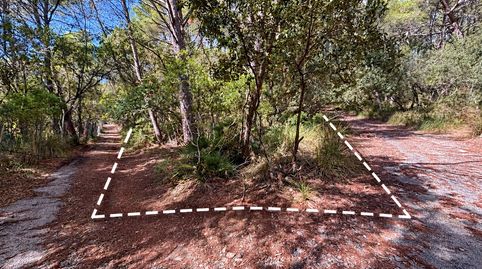 Terreno rústico de 14.000 m² en Son Net – Puigpunyent, Serra de Tramuntana.