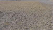 Residential for sale in Simancas