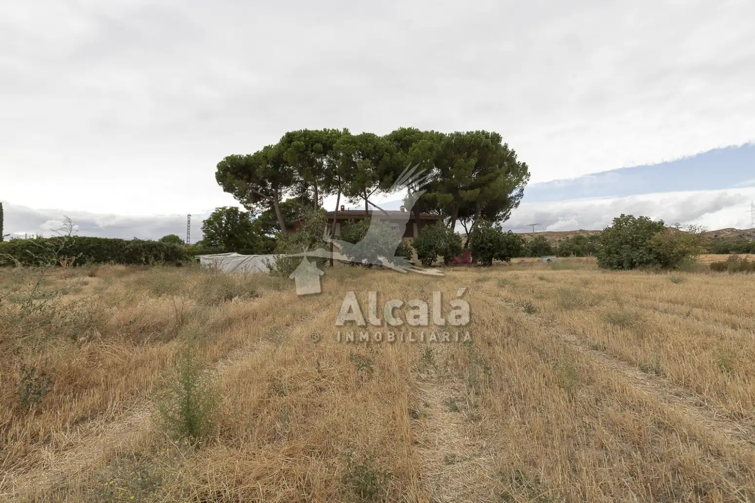 Haus oder Chalet zum Verkauf in El Molar (Madrid) mit Schwimmbad
