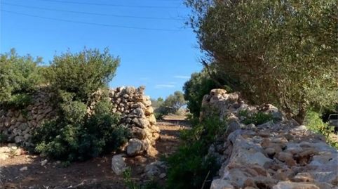 Foto 2 de Finca rústica en venda a Biniali, 94, Sant Lluís - S'Ullestrar - Torret, Sant Lluís