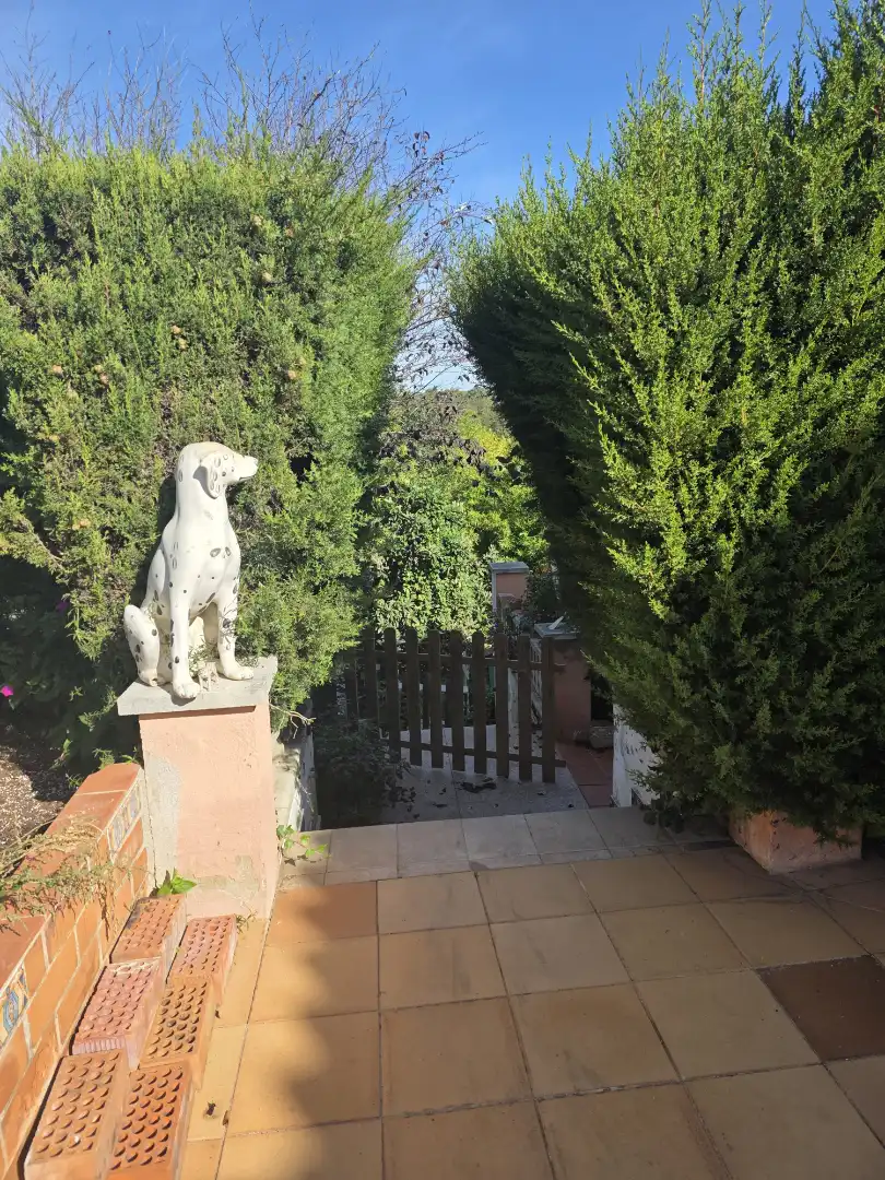House with terrace for sale in Calle Narcis Monturiol, imagen 33