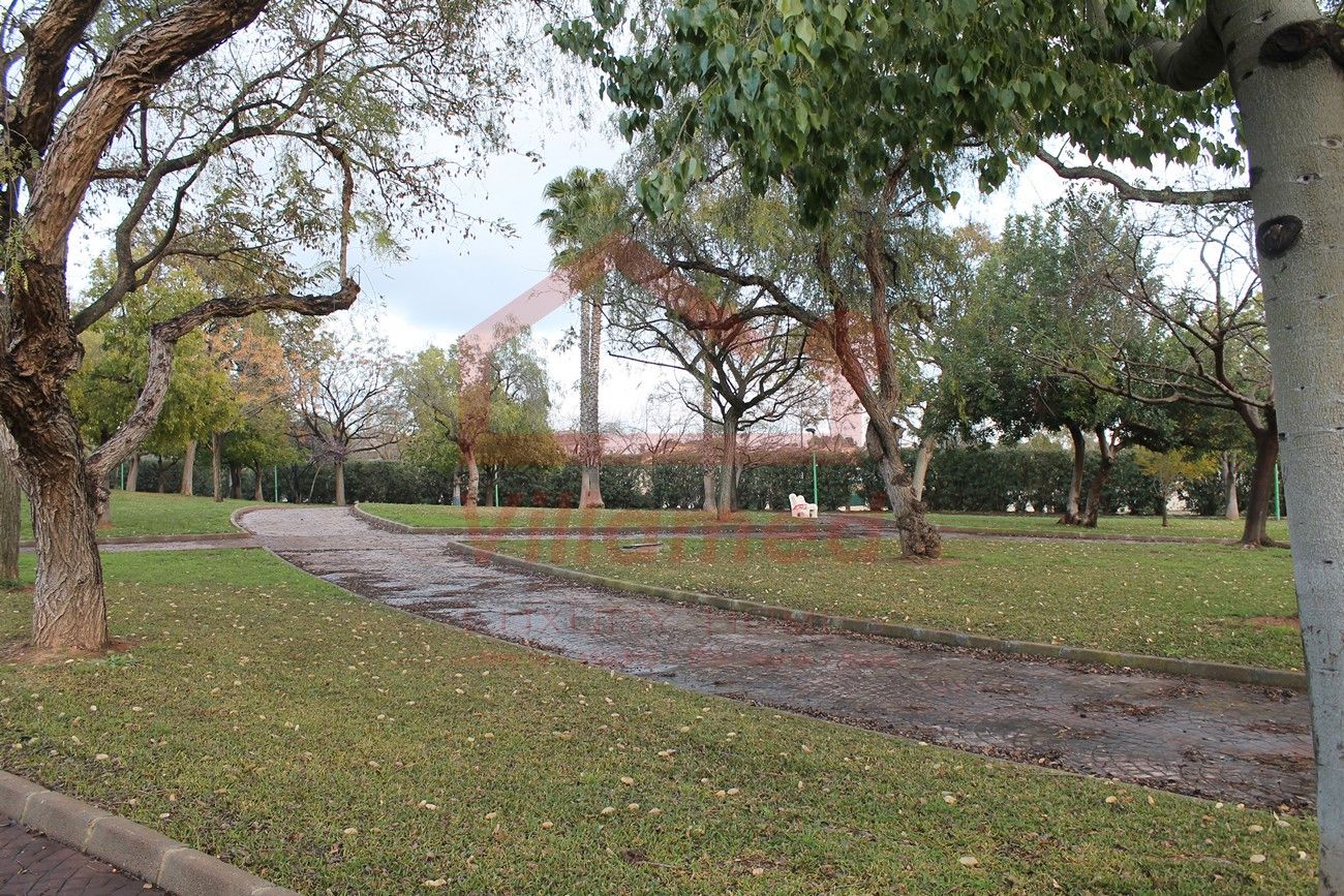 Exterior view of Residential for sale in Riba-roja de Túria