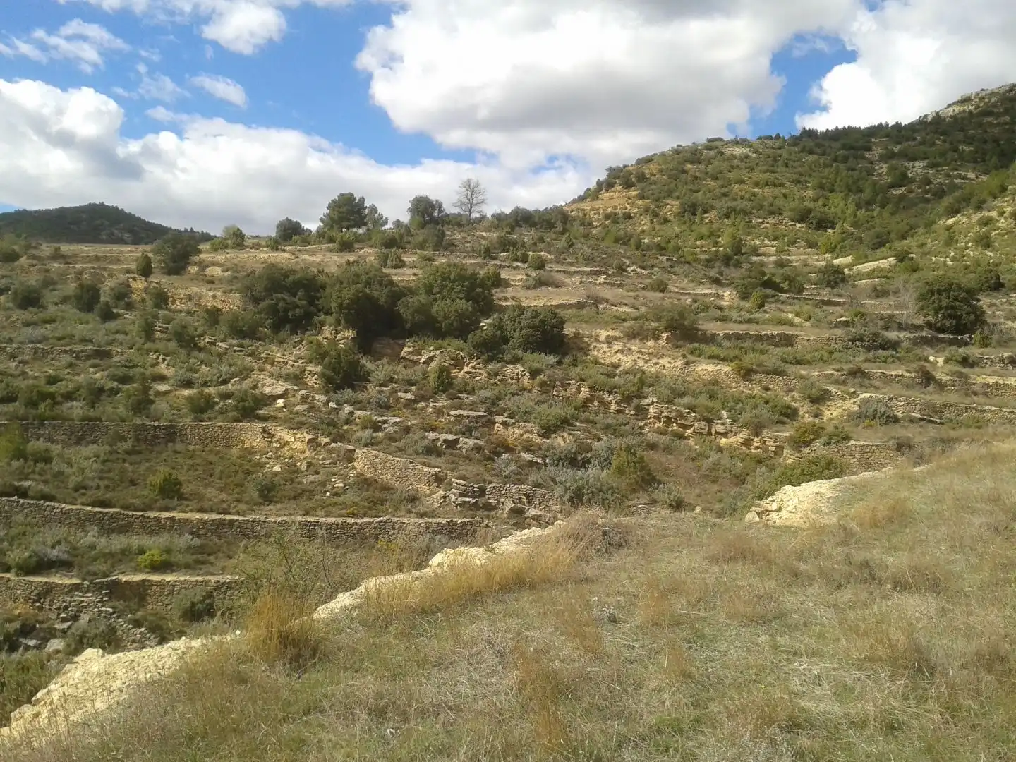 Terreno en venta en Todolella