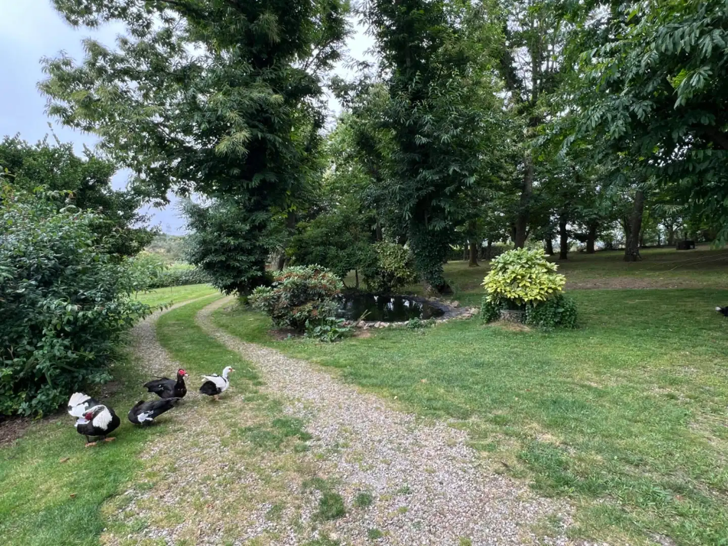 Jardí de Casa o xalet en venda en Celanova amb Calefacció, Jardí privat i Terrassa