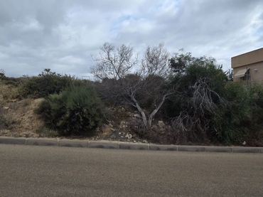 Terrenos y solares en venta en Calarreona