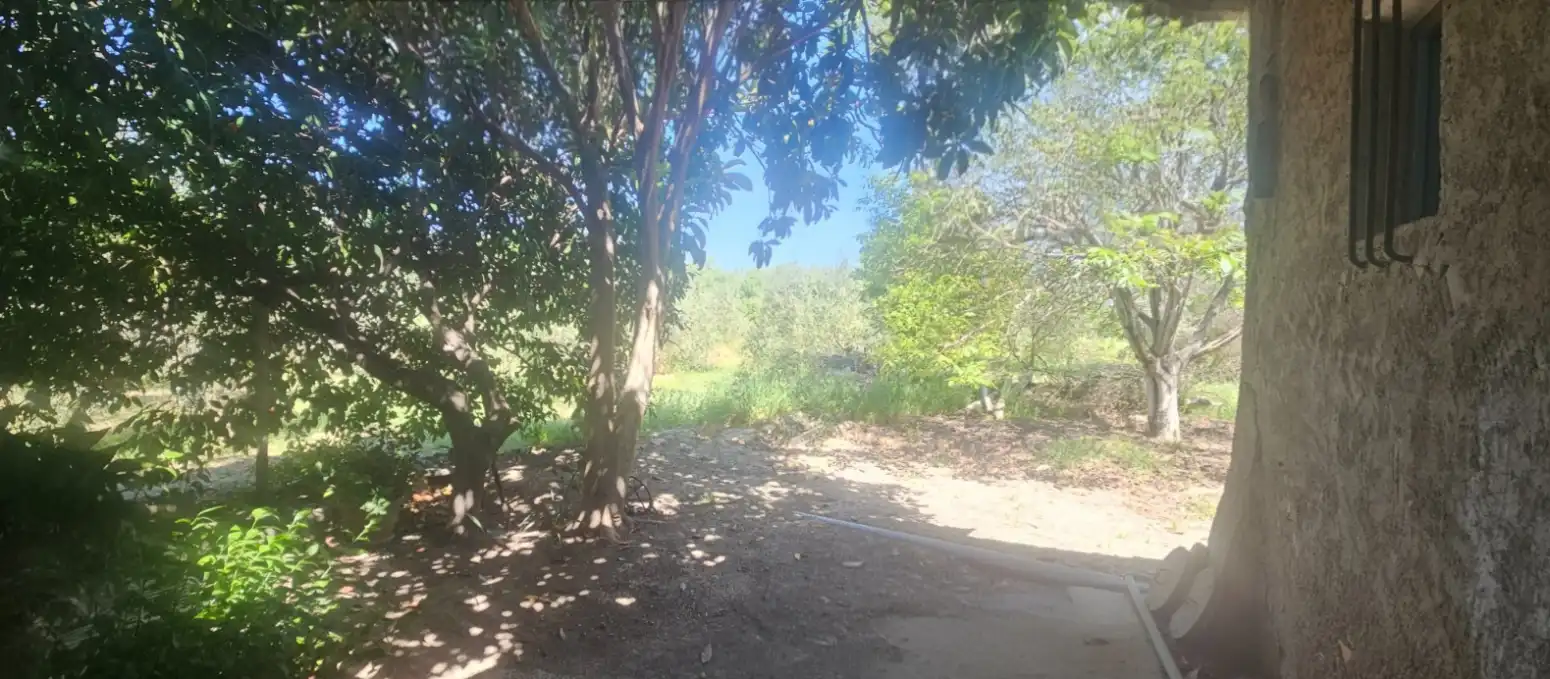 Casa o chalet en venta en Alguazas