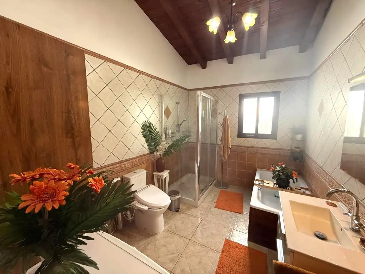 Baño de Finca rústica en venta en Guía de Isora con Terraza