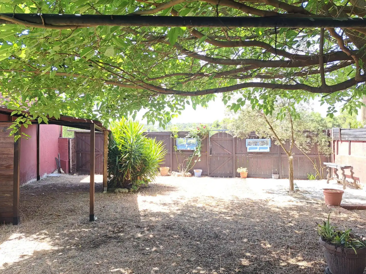 Jardí de Casa o xalet en venda en Cortes de Pallás amb Terrassa i Traster