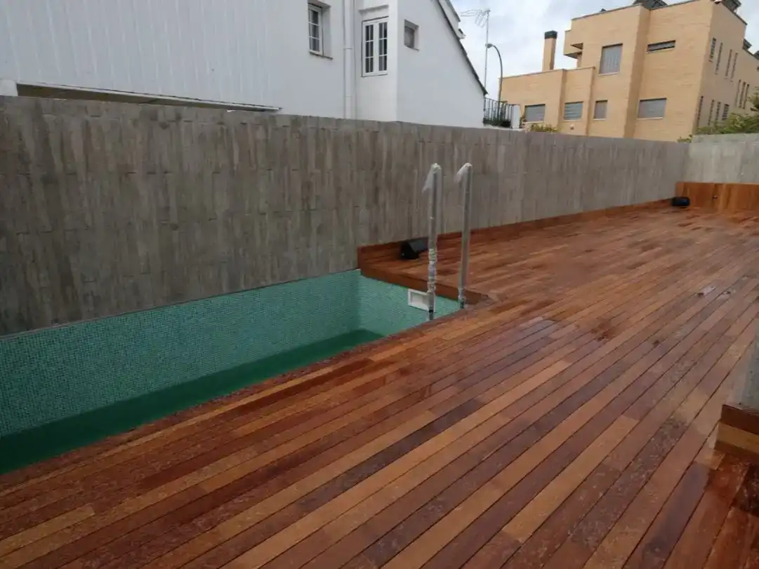 Piscina de Casa o xalet en venda en  Madrid Capital amb Balcó