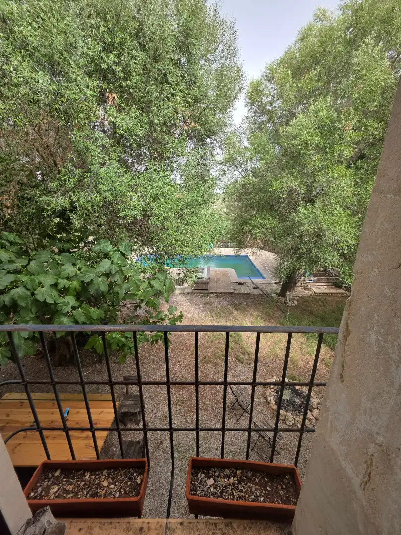 Swimming pool of Country homes for rent in Alaior  with Private garden, Terrace and Swimming Pool
