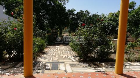 Foto 3 de Finca rústica en venda a Montilla, Córdoba