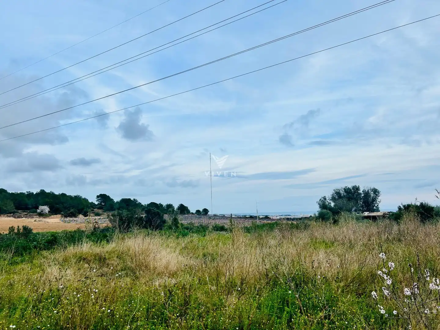 Rural land for sale in Nord, imagen 7