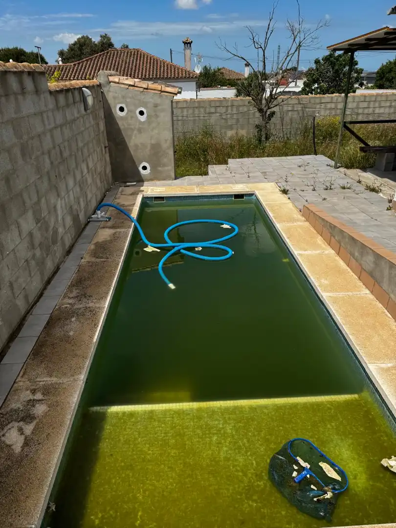 Swimming pool of Houses for sale in Chiclana de la Frontera  with Private garden and Swimming Pool