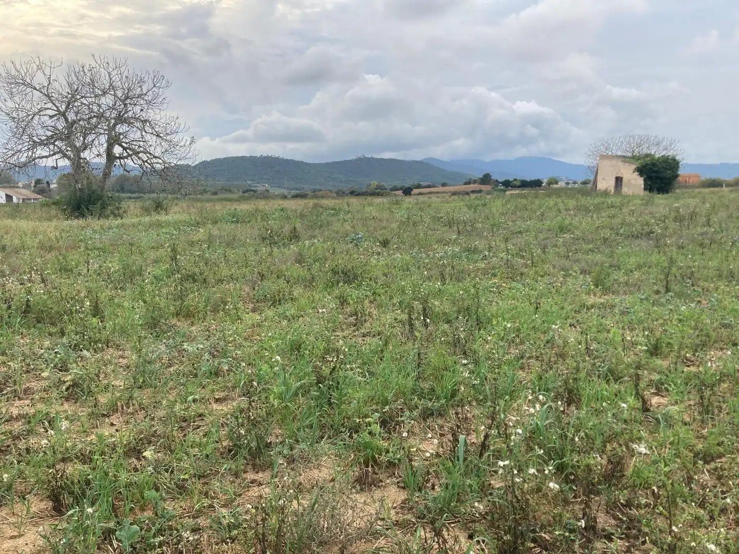 Wohnbaugrundstück zum Verkauf in Mas Mora - Sant Daniel, imagen 4