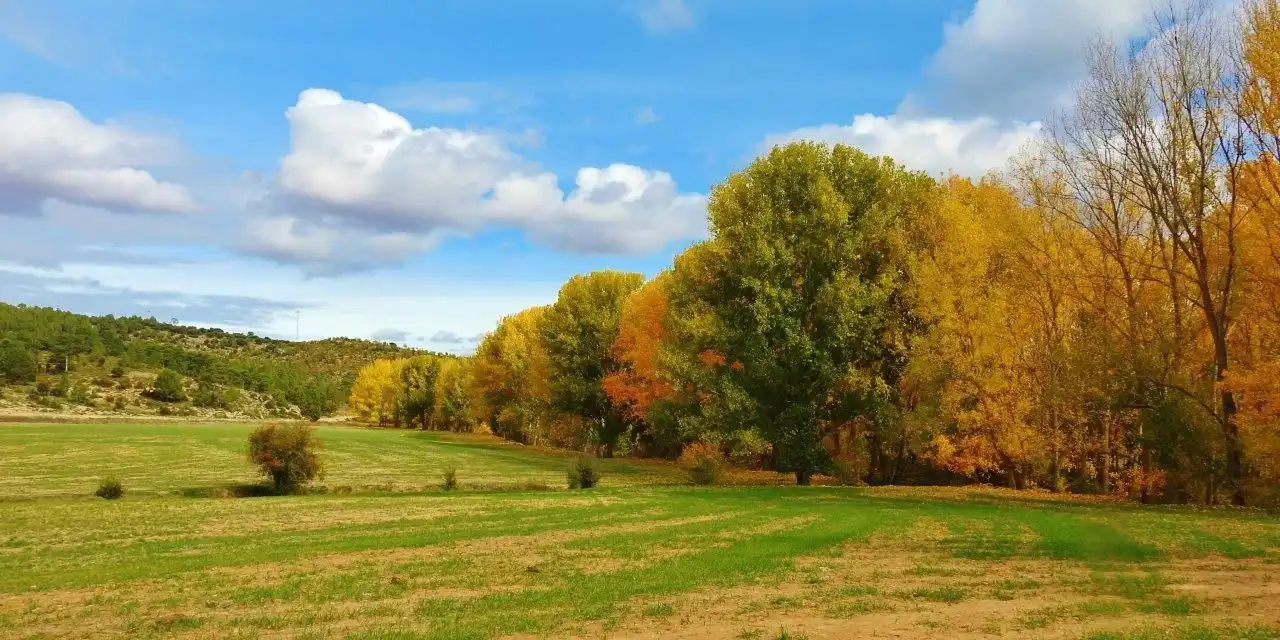 Finca rústica en venda en Villar de Olalla