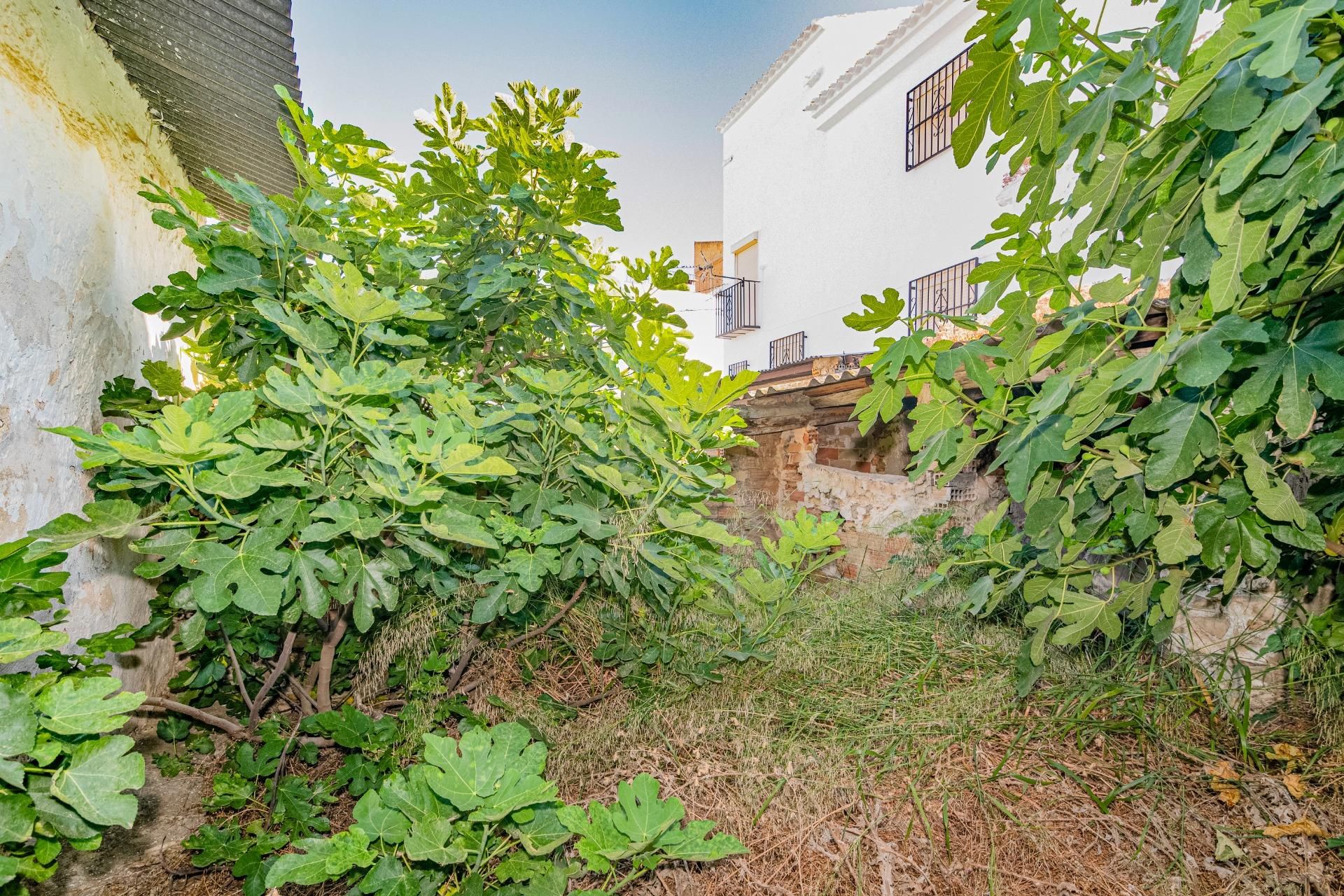 Garten von Country house zum verkauf in Iznájar