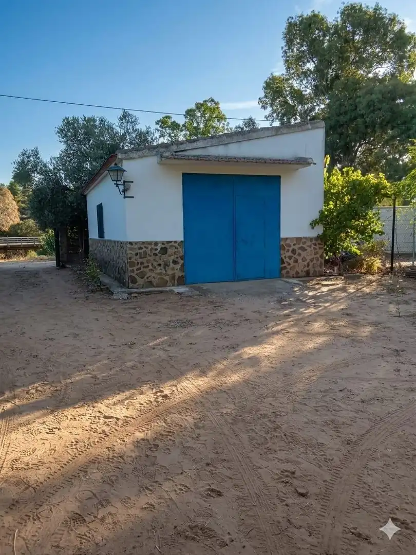 Vista exterior de Casa o xalet en venda en Piedrabuena amb Calefacció, Jardí privat i Terrassa