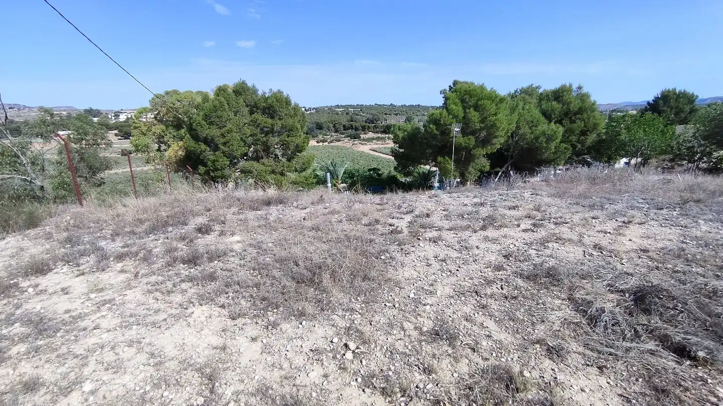 Casa o xalet en venda en Elche / Elx amb Piscina