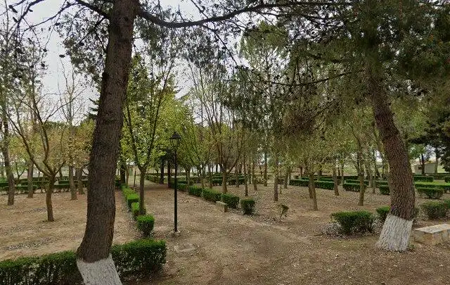 Jardí de Casa o xalet en venda en Madrigueras