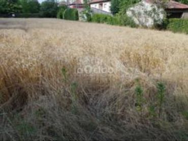 Rustikales Grundstück zum Verkauf in Tona