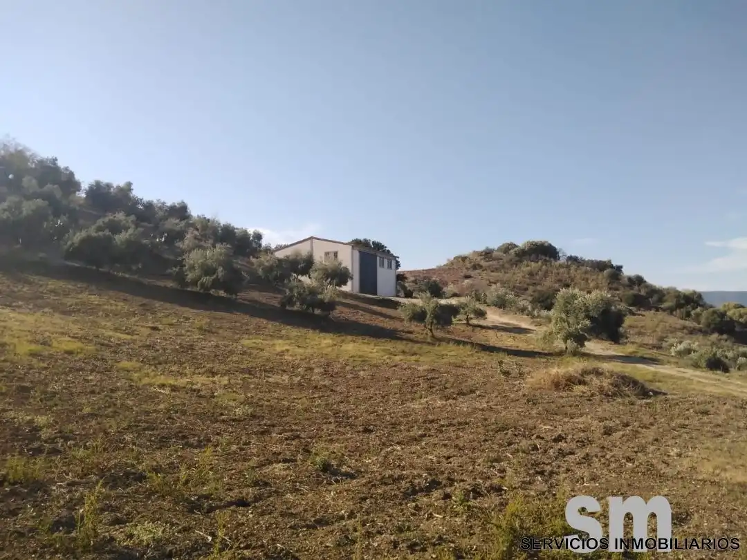 Terreno en venta en Zahara