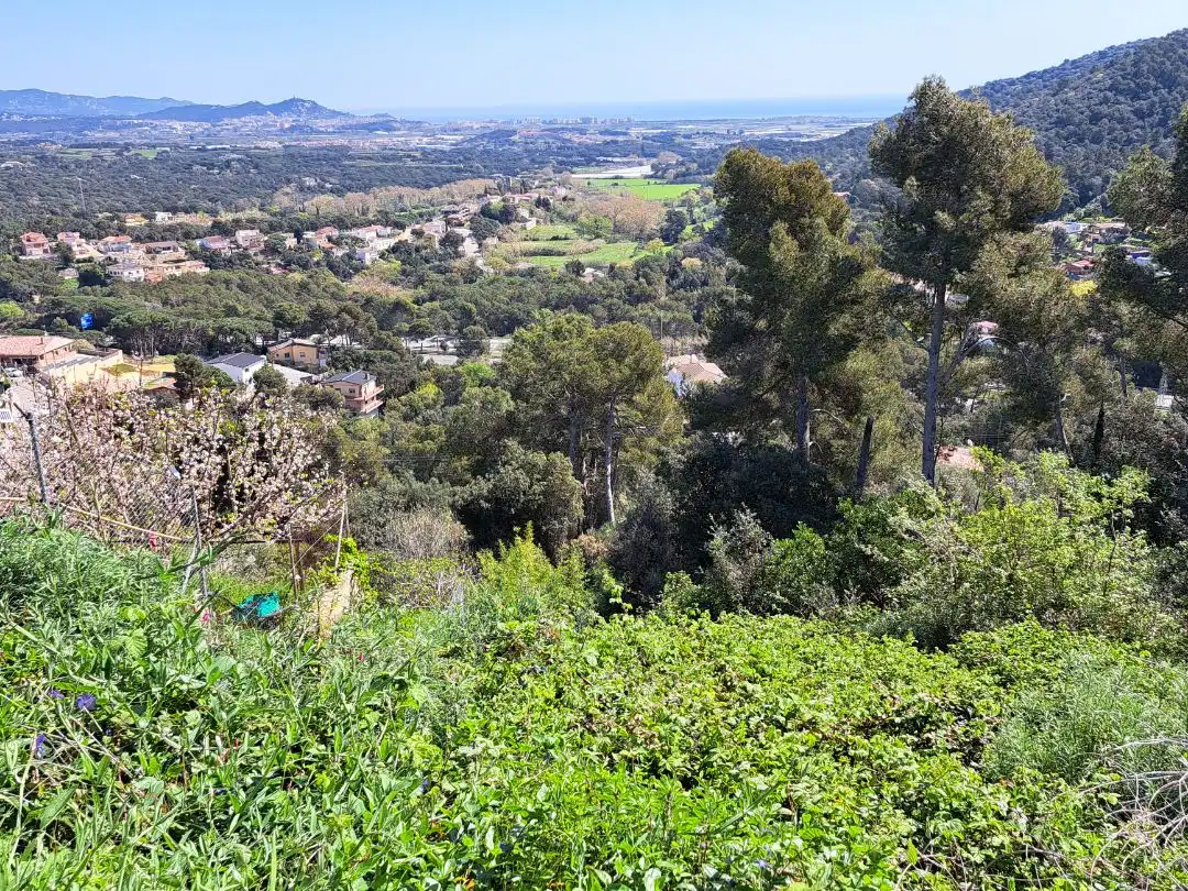 Terreno residencial en venta en Cedres 1027, imagen 2