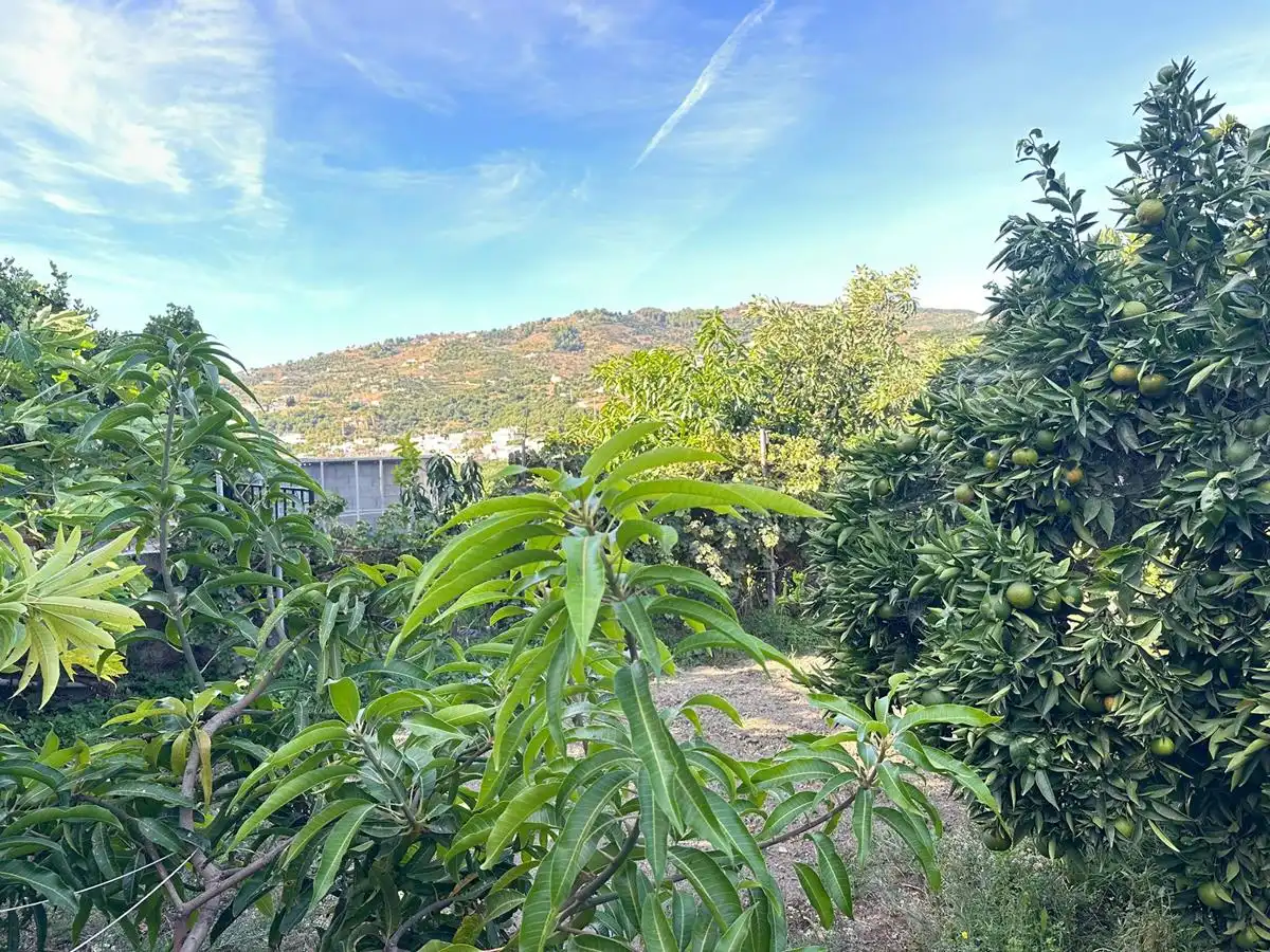 Casa rústica amb terrassa en venda a Zanahoria Pol 25 357B, imagen 19