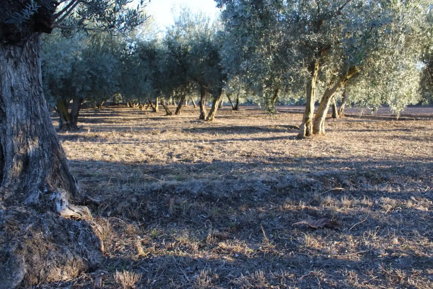 Country homes for sale in Villa de Otura, Granada