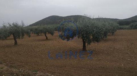Finca totalmente llana con casa y nave en aldea del Hoyo municipio de Belmez. Con una superficie de 18.896, 
Con acceso por camin, imatge 3