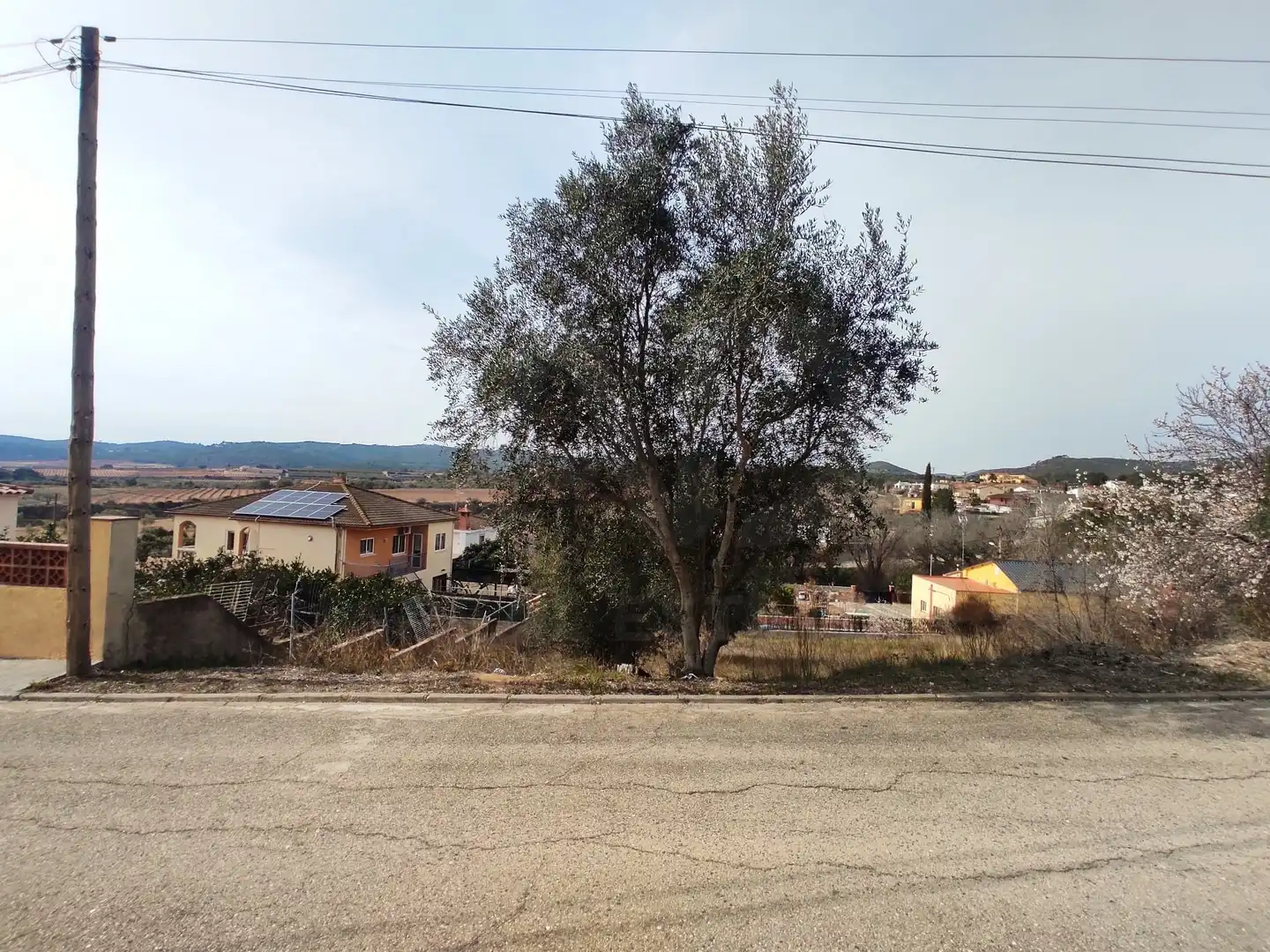 Terrenys i solars en venda a La Bisbal del Penedès, imagen 3