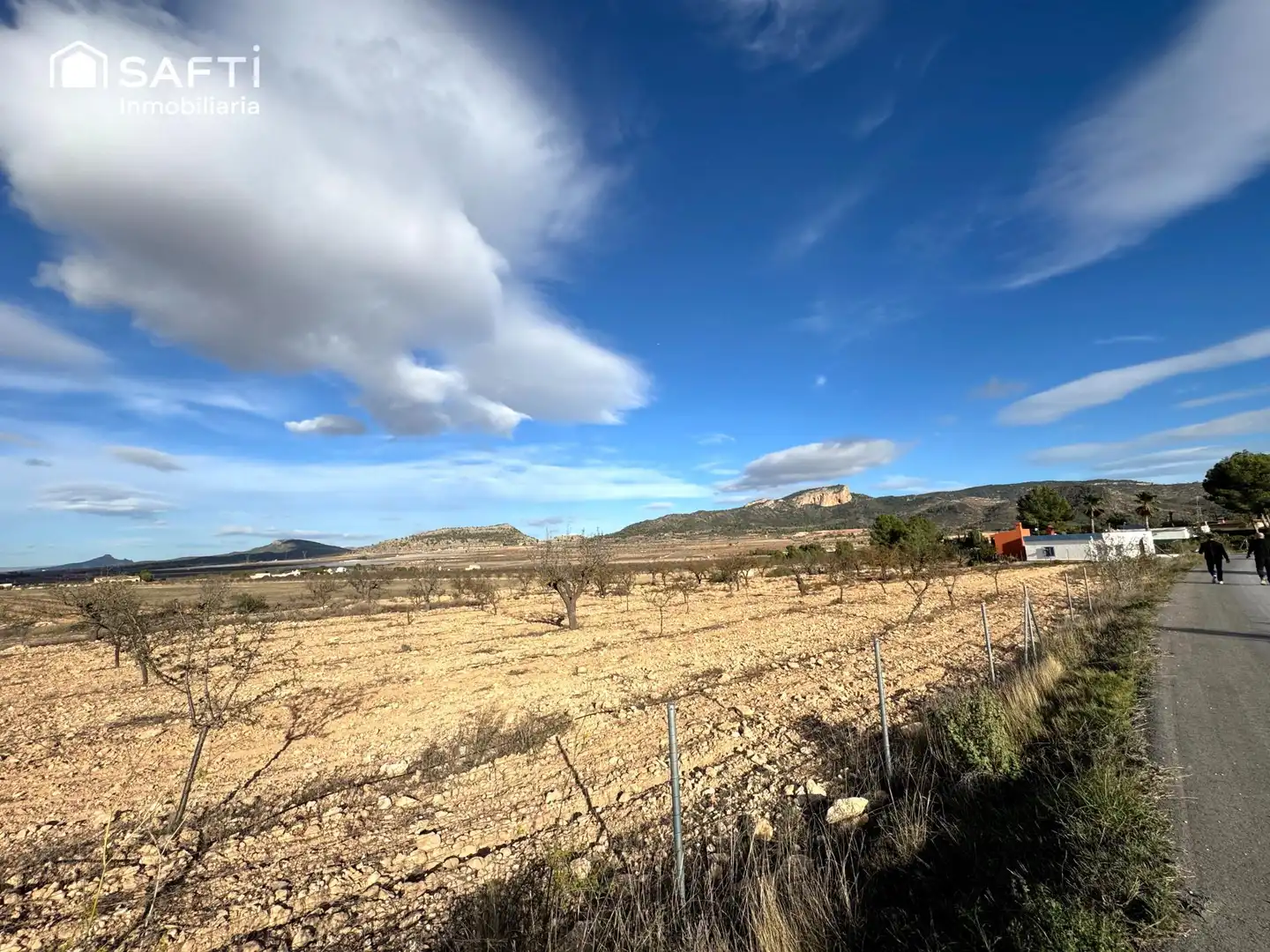 Terreny rústic en venda a Monóvar  / Monòver, imagen 4