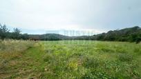 Finca rústica en venda en Cruïlles, Monells I Sant Sadurní de L'Heura amb Jardí privat
