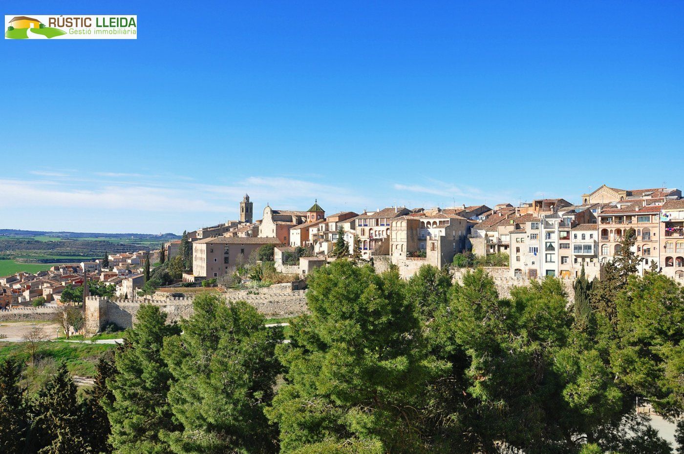 Casa o xalet en venda a Cervera