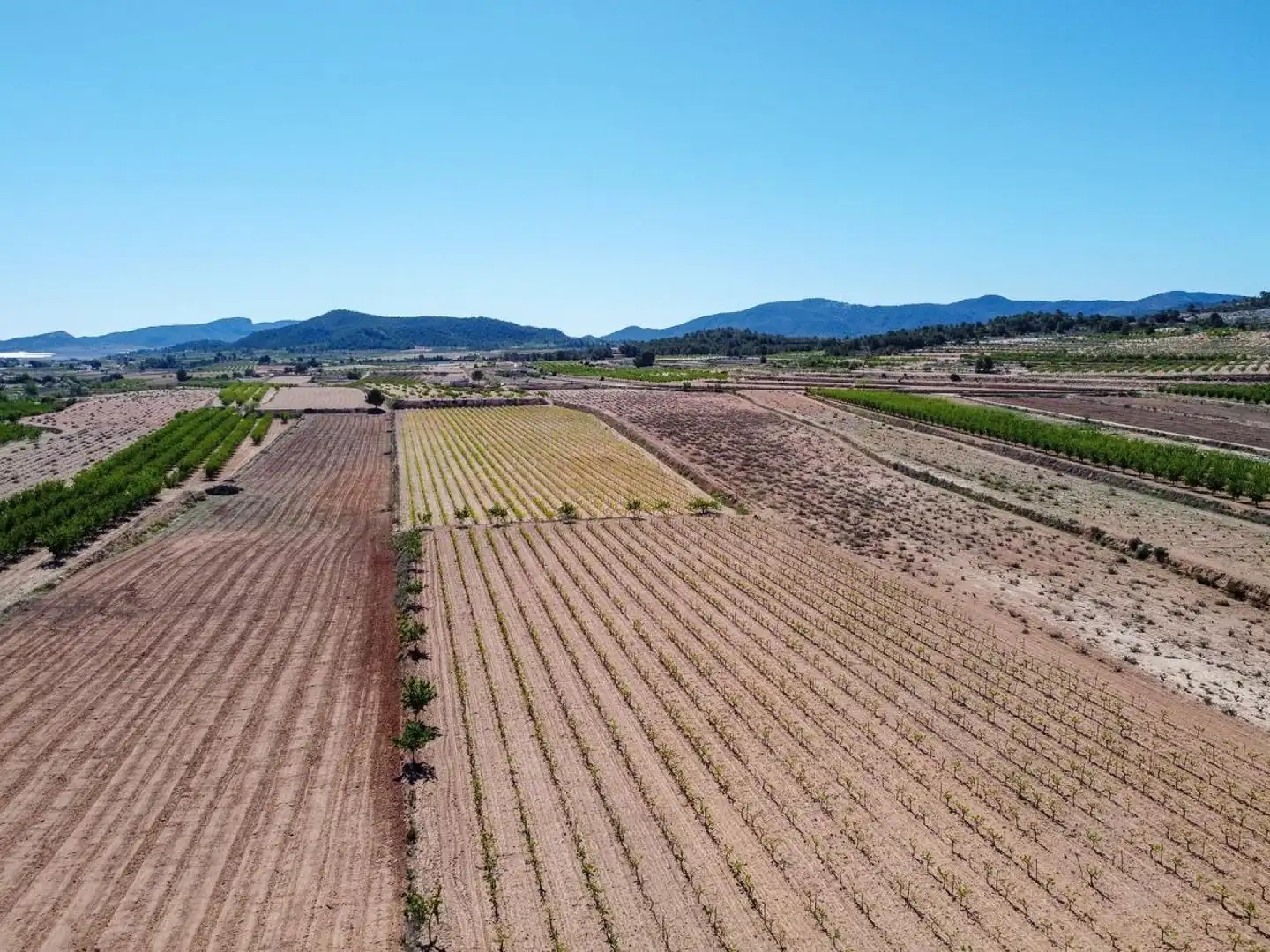 Terreno residencial en venta en El Pinós / Pinoso, imagen 25