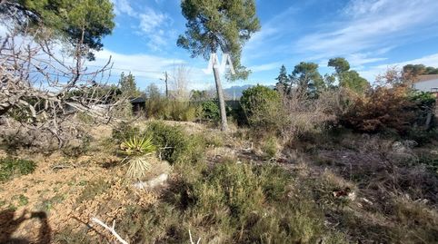 Foto 4 von Residential zum Verkauf in Francesc Cambo, La Torre de Claramunt, Barcelona