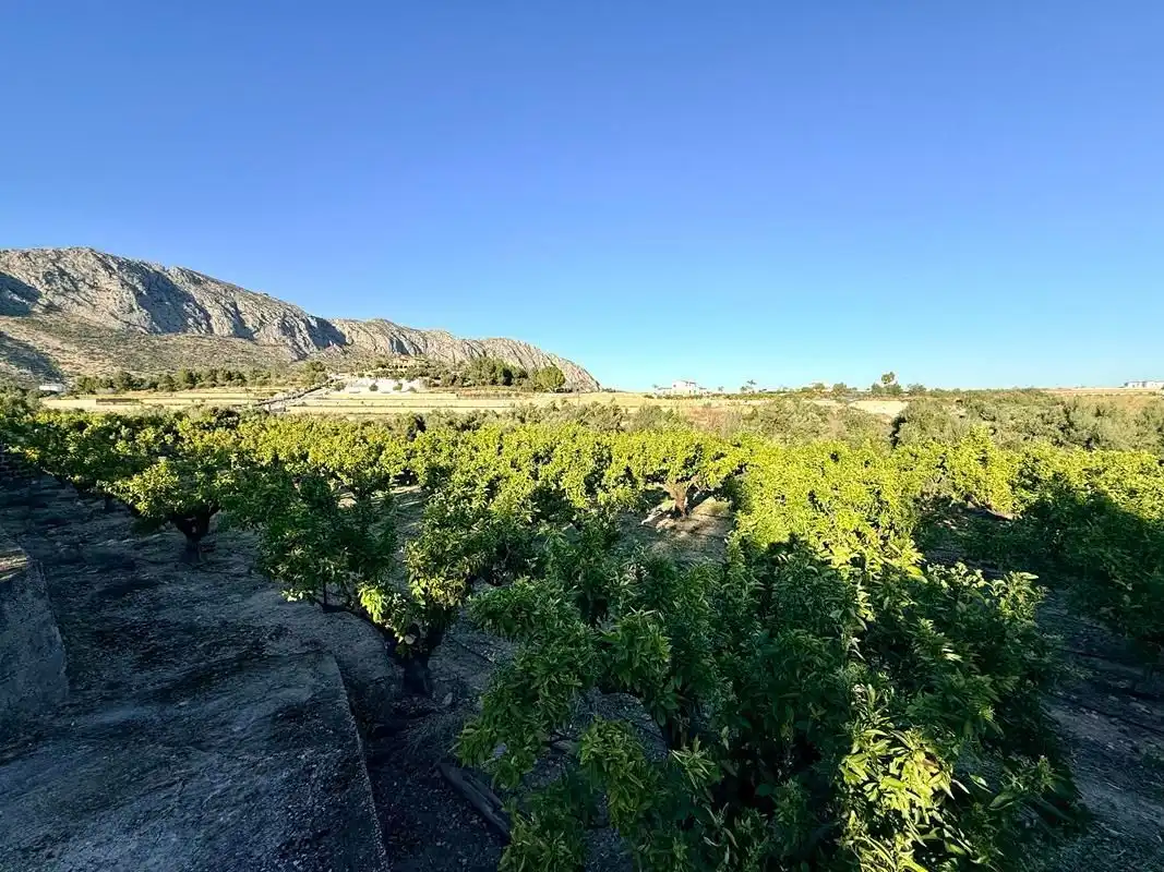 Vista exterior de Finca rústica en venda en Sanet y Negrals amb Calefacció i Jardí privat
