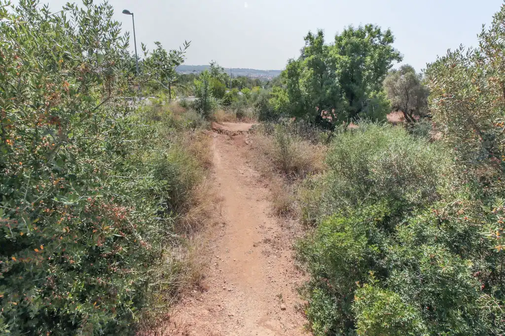 Rural land for sale in C/ Roquetes, imagen 23