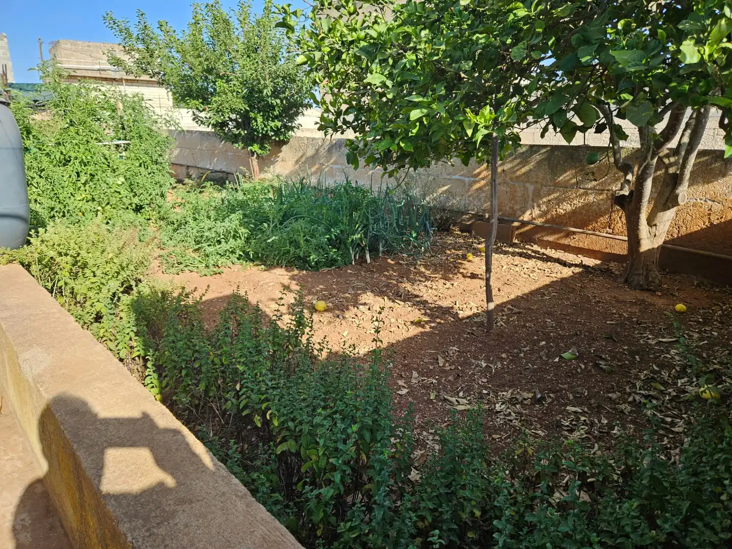 Terrain rustique à vendre à Carrer ses Tapareres 1A, imagen 5