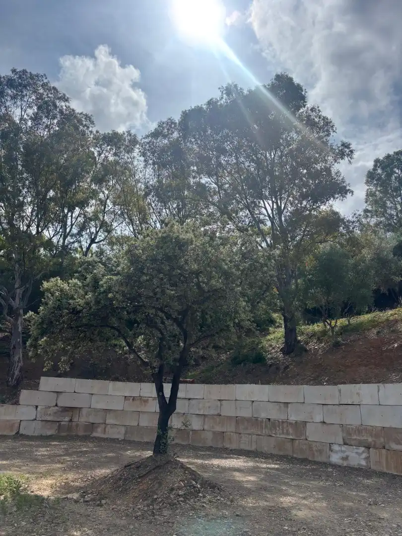 Terreny en venda en Estepona